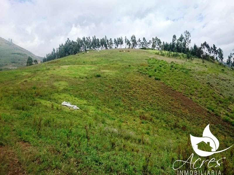 En Venta Terreno de 22 Hectáreas en Otón