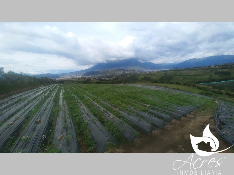 En Venta Terreno de 9910m2 en San Luis-Otavalo