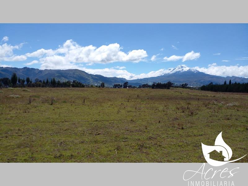 En Venta Hermosa Propiedad de 6 hectáreas en Zuleta