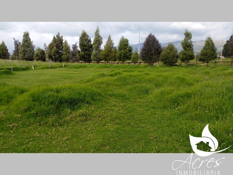 Terreno Urbano de 5000m2 en Cayambe-Sector Granobles