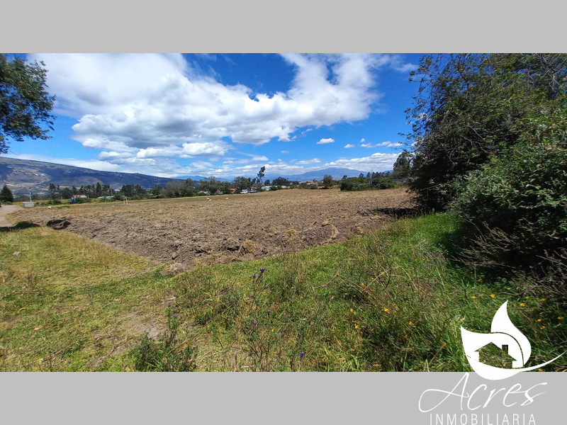 Terreno de 1 hectárea en La Esperanza-Pedro Moncayo
