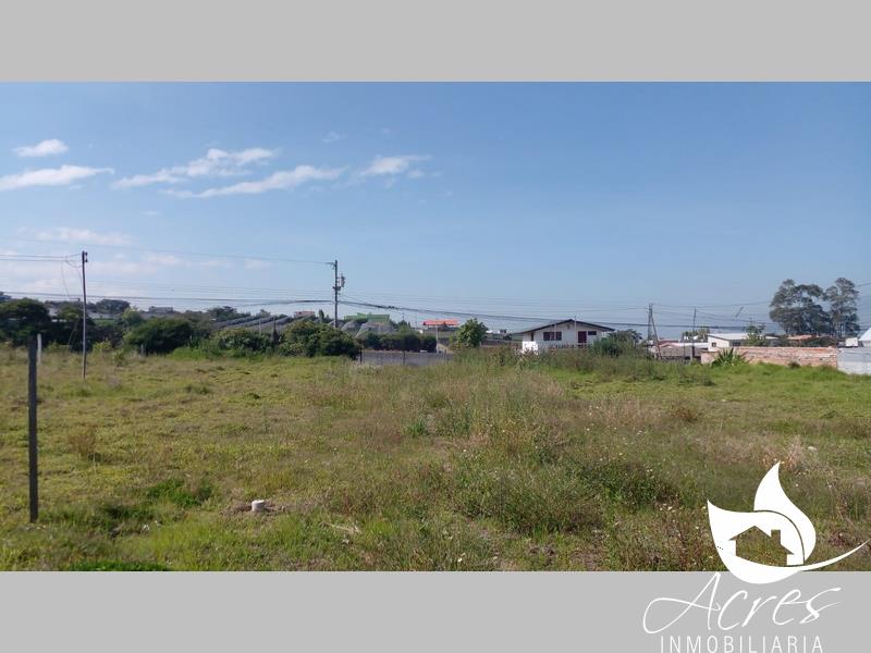 Lotes de 313m2 en Ascazubi-Barrio Norte ¡Listos para construir!