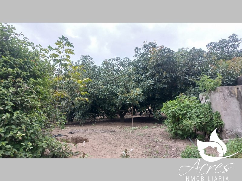Terreno de 1988m2 en Guayllabamba-Clima Cálido