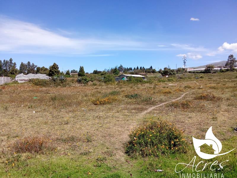 Lote Urbano de 371m2 en La Esperanza-Pedro Moncayo