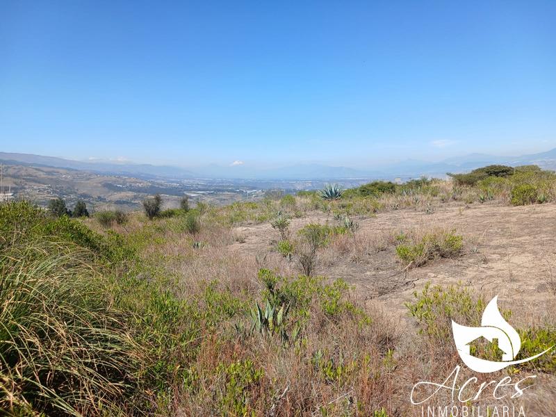 En Venta Dos Lotes de 3000m2 en Tocachi-Pedro Moncayo
