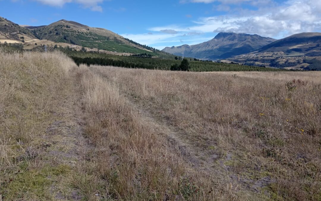 Terreno Rural de 8500m2 en Pesillo sector La Quinta